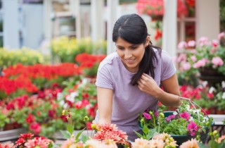 Come fare ad avere il pollice verde: 3 cose da cui partire