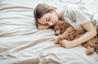 Cane che trema: le cause e quando chiamare il veterinario