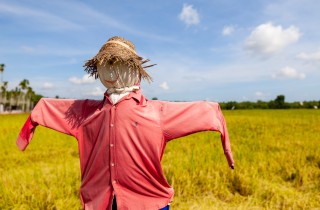 Spaventapasseri fai da te: come farlo con materiali riciclati