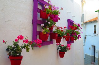 Fioriera verticale con pallet: 7 idee da copiare