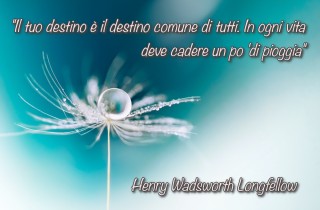 Immagini con frasi sulla vita per WhatsApp: le più belle da scaricare