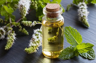 Olio essenziale alla menta piperita, gli usi che non sapevi di poter sfruttare