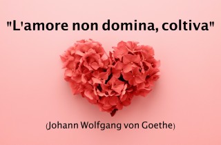 Immagini con frasi d'amore per San Valentino: le più belle da inviare su WhatsApp