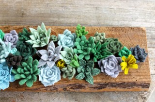 Piante grasse in feltro: come realizzarle per decorare casa