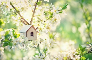 Lavori manutenzione primavera: 11 cose da controllare