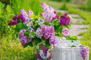 Idee per abbellire il giardino fai da te: le decorazioni decoupage