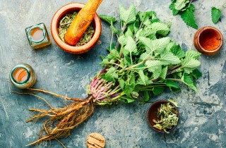 Tè alla melissa: proprietà e benefici