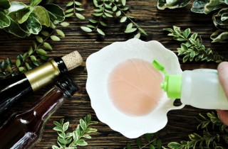 Come togliere i moscerini da casa: 6 rimedi da provare