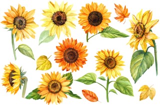 Girasoli decoupage da stampare gratis: 9 disegni vivaci