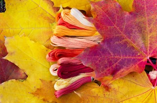 Foglie autunnali a punto croce: 9 schemi da non perdere