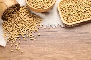 Quali sono i cibi vegetariani ricchi di proteine?