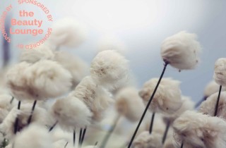 Cotone Nordico: i benefici per il corpo e per le mani