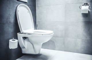 Vermi neri nel wc: perché si formano e come si combattono?