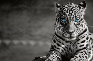 Il video musicale del mese: Notte Gialla di Emis Killa ft. Madame, testo e significato