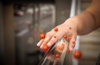 Qual è la differenza tra virus e batteri