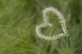 Amore platonico, le più belle frasi che spiegano cos'è