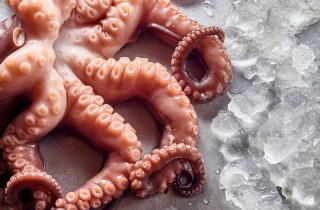 Come cucinare il polpo congelato con tempi e modi corretti