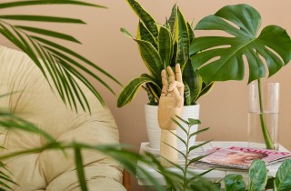 Piante finte, perché possono essere la soluzione che fa per te?