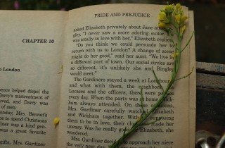 Perché Orgoglio e Pregiudizio di Jane Austen è sempre un libro attuale