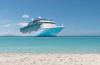 Quanto inquina una nave da crociera?