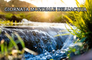 Giornata mondiale dell'acqua: 7 immagini gratis per celebrarla