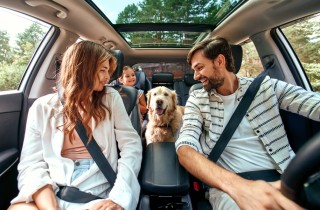 4 consigli per viaggiare con il tuo cane