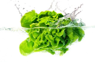 L'acqua di lattuga fa riposare meglio?