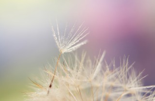 Forza interiore: 11 frasi motivazionali