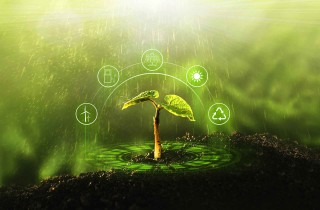 Cosa sono la sostenibilità ambientale, sociale ed economica?