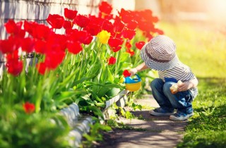 Che cosa significa sognare la primavera