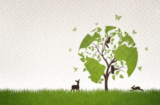 Cos’è il rewilding e perché può aiutare la biodiversità?