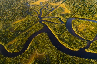 5 modi per aiutare la Foresta Amazzonica senza muoverti da casa