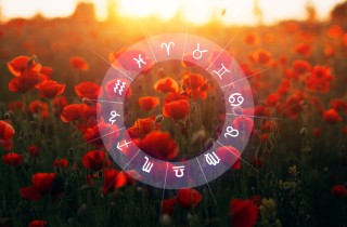 Fiori e segni zodiacali: gli abbinamenti