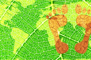 Impronta ecologica: cos'è e come si calcola per salvare l'ambiente