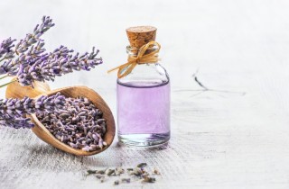 Le proprietà dell'olio essenziale di lavanda, rimedio naturale molto utile