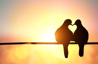 Amore romantico, le frasi da dedicare al partner