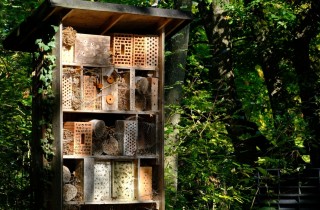 Che cosa sono i Bee Bricks di Brighton?