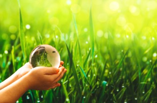 Frasi su sostenibilità ambientale e natura per ricordare e migliorarci