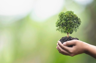 Che cos’è la convenzione sulla Biodiversità e perché è importante