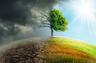 Qual è la differenza tra riscaldamento globale e cambiamento climatico?
