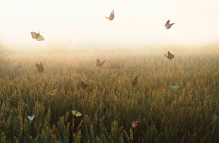 Giornata mondiale della poesia 2023: 5 componimenti per rinascere