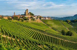 10 motivi per organizzare subito un viaggio nelle Langhe