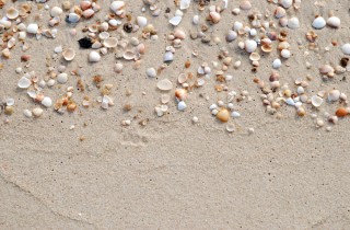 Giochi da spiaggia con le conchiglie