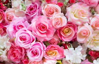 Quando regalare un mazzo di rose?