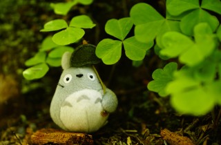 Film Studio Ghibli: i personaggi cult