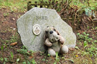 Come affrontare il lutto per la perdita del proprio animale domestico