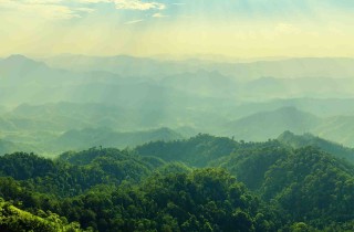Quali sono i 9 ambienti naturali