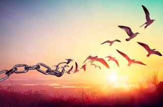 Le più belle frasi sulla libertà da condividere