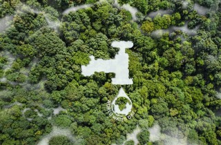 Giornata mondiale dell'acqua 2024: da bene primario a simbolo di pace