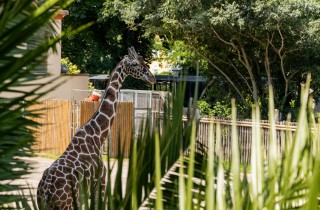 Bioparco a Roma: 4 motivi per visitarlo